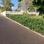Naranjos