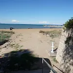 Naranjos *