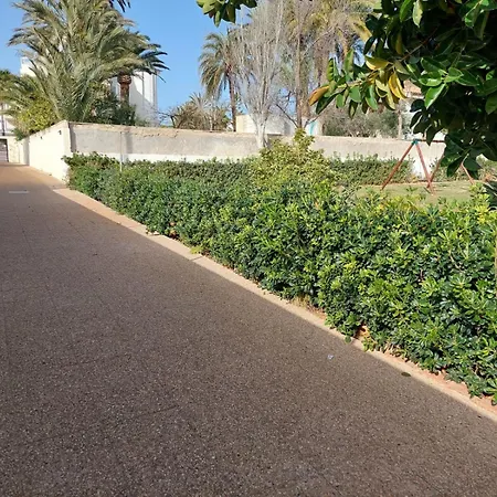 Naranjos