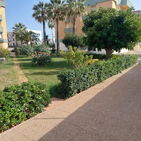 Naranjos * دينايا