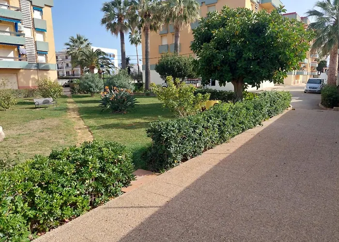 Naranjos * دينايا