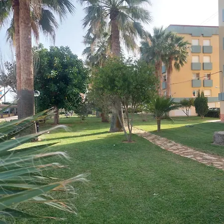 Naranjos *